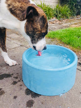 Load image into Gallery viewer, Dream Colour Concrete Dog Bowls ONLY Pick up Christchurch