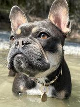 Load image into Gallery viewer, Dream Tags - Bespoke Handcrafted Dog Tags