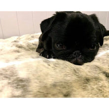 Load image into Gallery viewer, Dream Pet Bed - Frosted