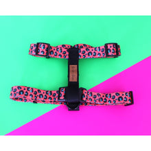 Load image into Gallery viewer, Boss + Boo - Spotted Cheetah Harness
