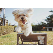 Load image into Gallery viewer, Tu Meke Friend - Beef Paddywack - Natural Dog Treats