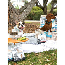 Load image into Gallery viewer, Tu Meke Friend - Venison Paddywack - Natural Dog Treats