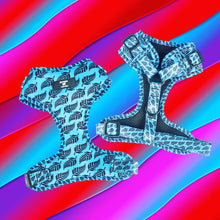 Load image into Gallery viewer, Get Fernzy - Chest Harness Adjustable