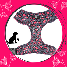 Load image into Gallery viewer, Leopardo Rosa - Chest Harness Adjustable