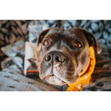 Load image into Gallery viewer, Tu Meke Friend - Beef Liver Strips - Natural Dog Treats