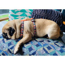 Load image into Gallery viewer, Boss + Boo - Candy Punch Harness