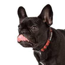 Load image into Gallery viewer, Wolves of Wellington - Buffalo Collar