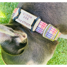 Load image into Gallery viewer, The Adventure Dream Tags - Bespoke Handcrafted Dog Tags
