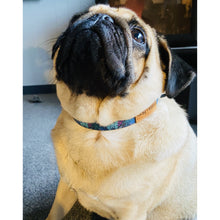 Load image into Gallery viewer, Boss + Boo - Secret Garden Collar