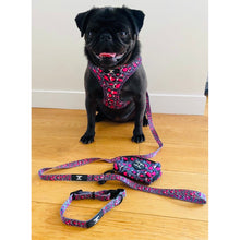 Load image into Gallery viewer, Dream Harness + Lead + Poo bag holder Bundle