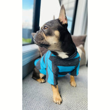 Load image into Gallery viewer, Merino Tee - Blue & Grey Stripe