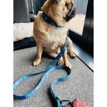 Load image into Gallery viewer, Boss + Boo - Secret Garden Lead