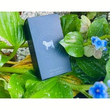 Load image into Gallery viewer, Dream Poo Bags