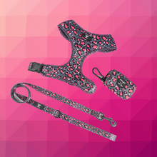 Load image into Gallery viewer, Harness + Lead + Poo bag holder Bundle Mix & Match
