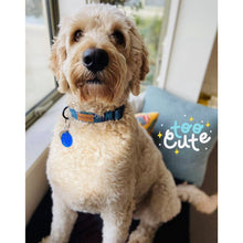 Load image into Gallery viewer, Boss + Boo - Secret Garden Collar