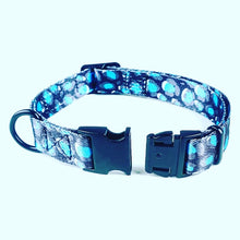 Load image into Gallery viewer, Dream Adventure Tag & Collar Bundle