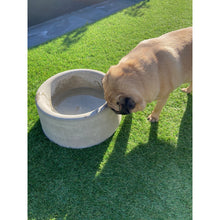 Load image into Gallery viewer, Dream Concrete Dog Bowls ONLY pick up Christchurch