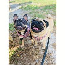 Load image into Gallery viewer, Furberry - Chest Harness Adjustable