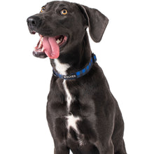 Load image into Gallery viewer, Wolves of Wellington - Luey Collar