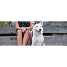 Load image into Gallery viewer, Wolves of Wellington - Buffalo Collar