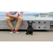 Load image into Gallery viewer, Wolves of Wellington - Buffalo Collar