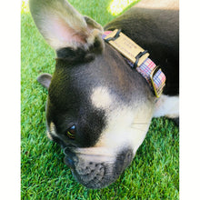 Load image into Gallery viewer, The Adventure Dream Tags - Bespoke Handcrafted Dog Tags