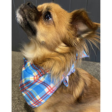 Load image into Gallery viewer, Boss + Boo - Sir Humphrey Bandana