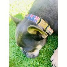 Load image into Gallery viewer, The Adventure Dream Tags - Bespoke Handcrafted Dog Tags