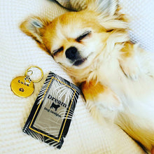 Load image into Gallery viewer, Dream Collar Bundle - 5 Designs to Choose From