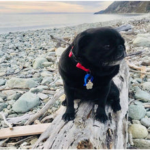 Load image into Gallery viewer, Boss + Boo - The Royal Collar