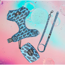 Load image into Gallery viewer, Dream Harness + Lead + Poo bag holder Bundle