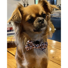 Load image into Gallery viewer, Boss + Boo - Luxe Leopard Bow Tie