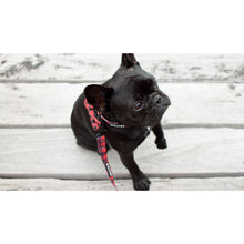 Load image into Gallery viewer, Wolves of Wellington - Buffalo Collar