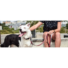 Load image into Gallery viewer, Wolves of Wellington - Buffalo Collar