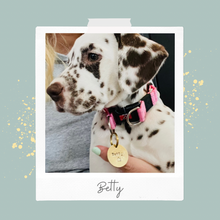 Load image into Gallery viewer, Dream Tags w/ Charm - Bespoke Handcrafted Dog Tags
