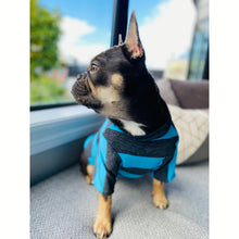 Load image into Gallery viewer, Merino Tee - Blue & Grey Stripe