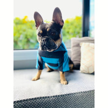 Load image into Gallery viewer, Merino Tee - Blue & Grey Stripe