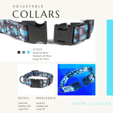 Load image into Gallery viewer, Dream Adventure Tag & Collar Bundle