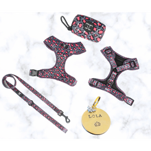 Load image into Gallery viewer, Dream Dog Harness Bundle - 5 Designs to Choose From