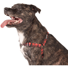 Load image into Gallery viewer, Wolves of Wellington - Buffalo Dog Harness