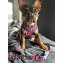 Load image into Gallery viewer, Leopardo Rosa - Chest Harness Adjustable