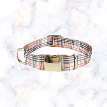 Load image into Gallery viewer, Dream Adventure Tag & Collar Bundle