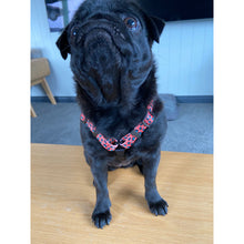 Load image into Gallery viewer, Boss + Boo - Spotted Cheetah Harness