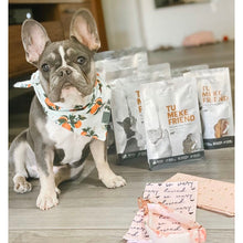 Load image into Gallery viewer, Tu Meke Friend - Venison Paddywack - Natural Dog Treats