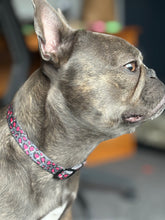 Load image into Gallery viewer, Leopardo Rosa - Collar
