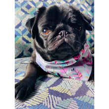Load image into Gallery viewer, Dream Dog Designs - Bandana - Feathers
