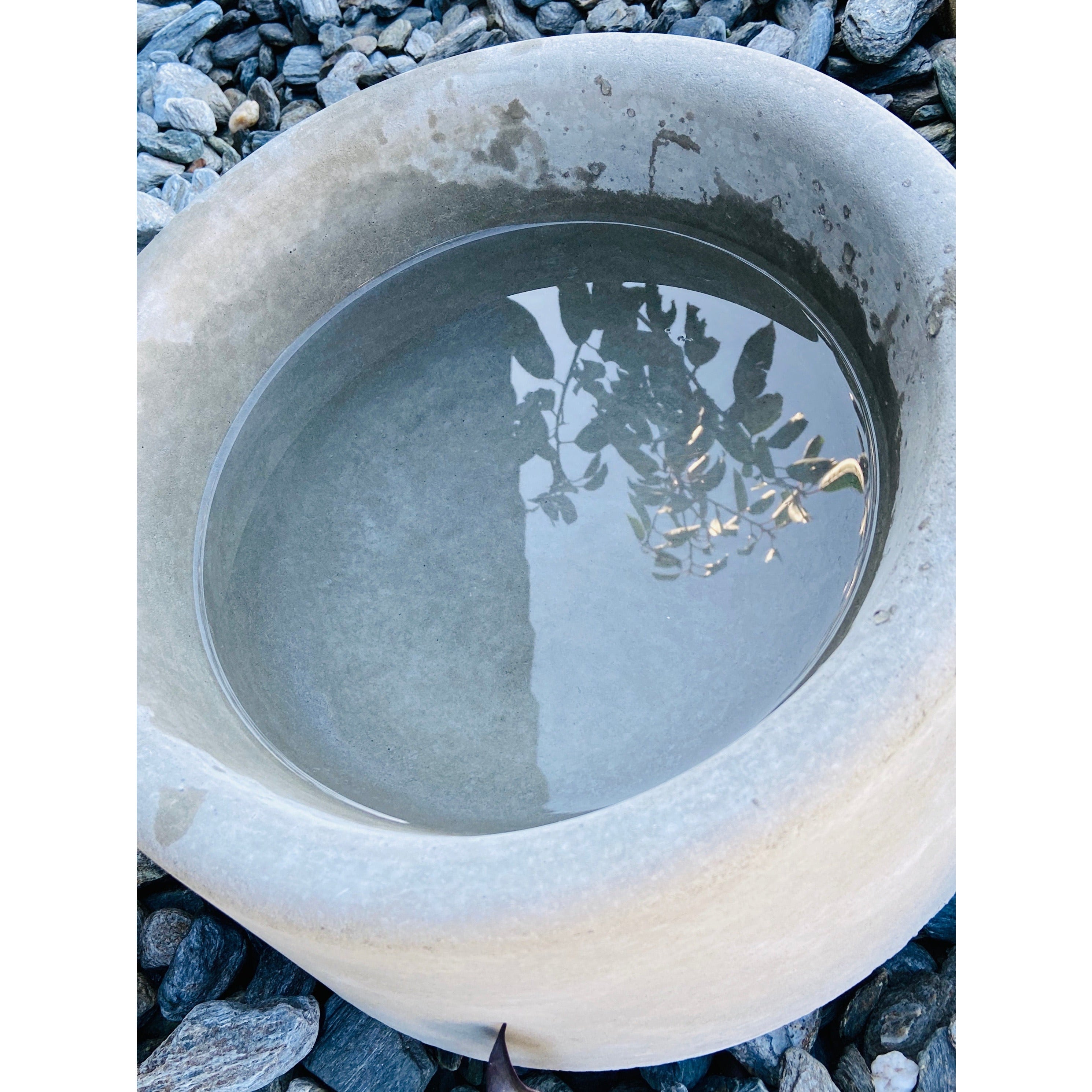 Concrete dog best sale water bowl