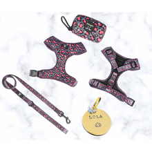 Load image into Gallery viewer, Dream Dog Harness Bundle - 5 Designs to Choose From
