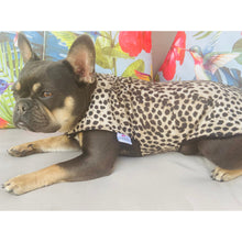 Load image into Gallery viewer, Little Foxes - Leopard Jacket
