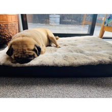 Load image into Gallery viewer, Dream Pet Bed - Jet Black
